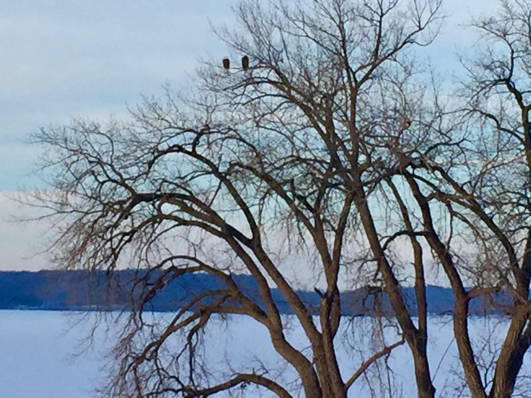 1701 1st Street, Unit 4 Pepin, WI 54759 - Photo 31 of 33