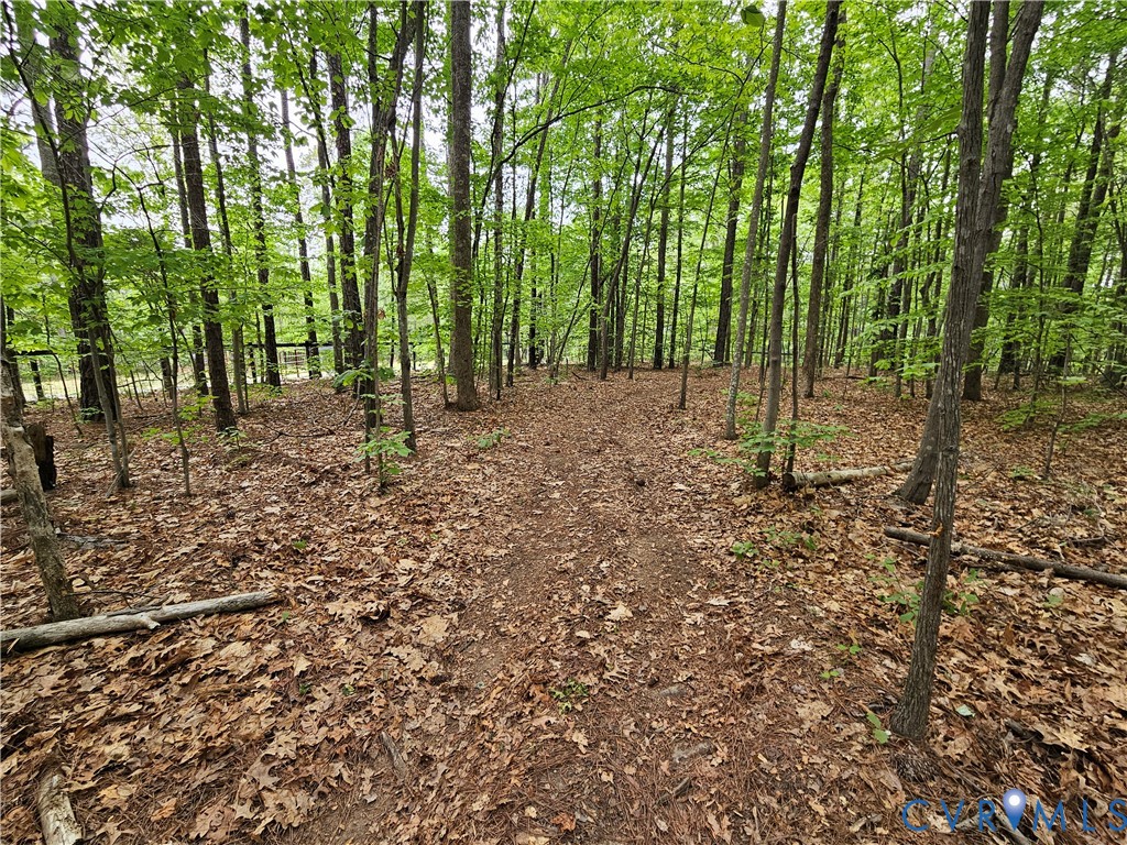 981 Scotts Bottom Road Dillwyn, VA 23936 - Photo 56 of 73 Gallery Image 56