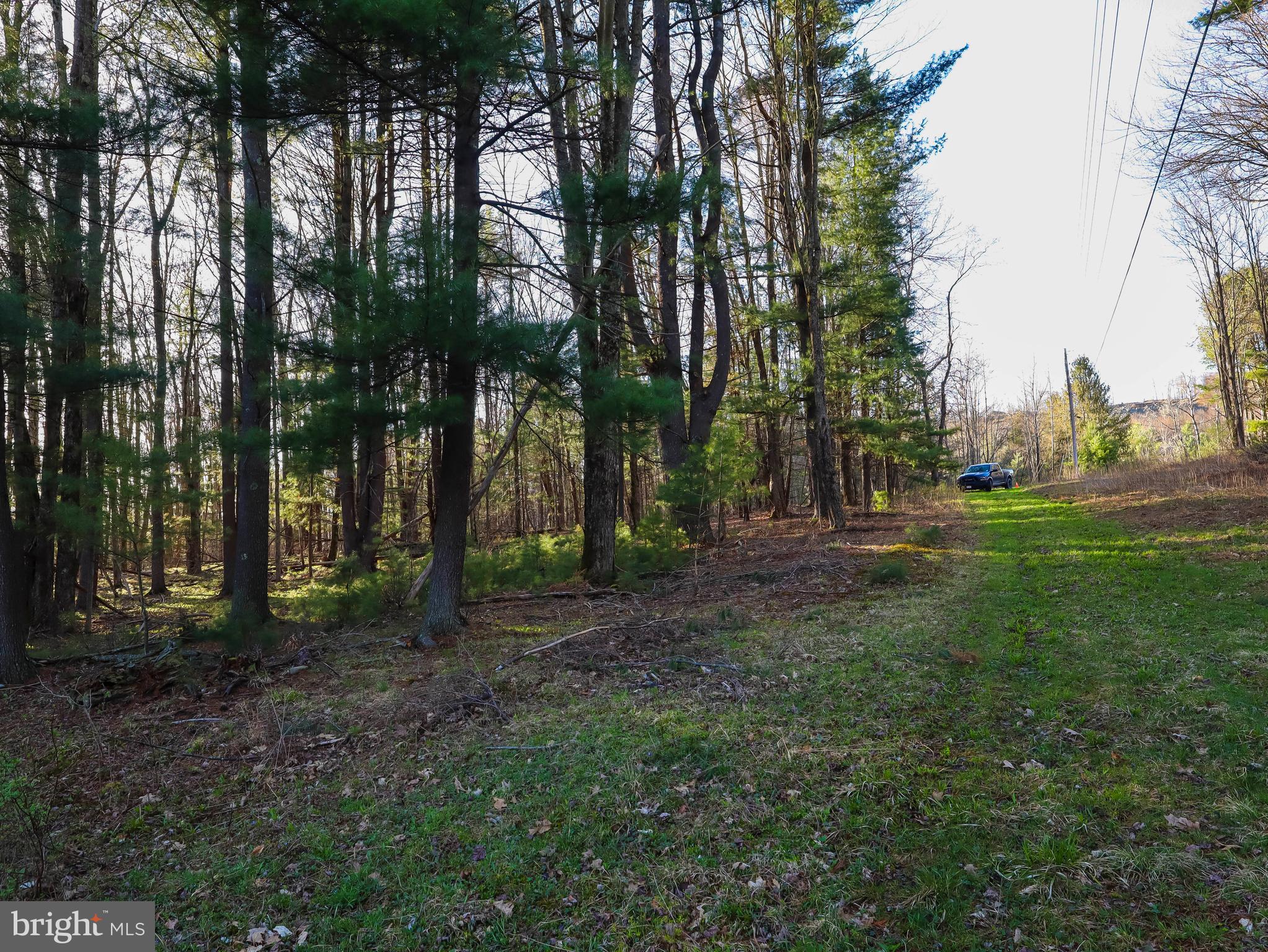0 Twin Lakes Road Brackney, PA 18812 - Photo 38 of 43
