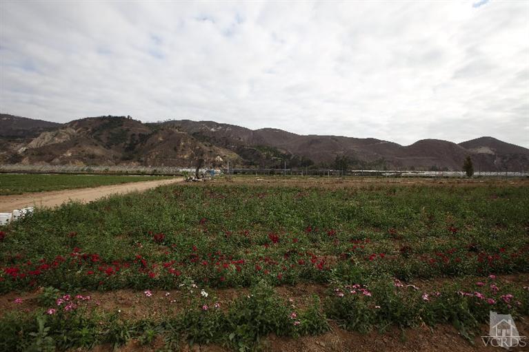 0 Shell Road Santa Paula, CA 93060 - Photo 5 of 9 Additional Photo