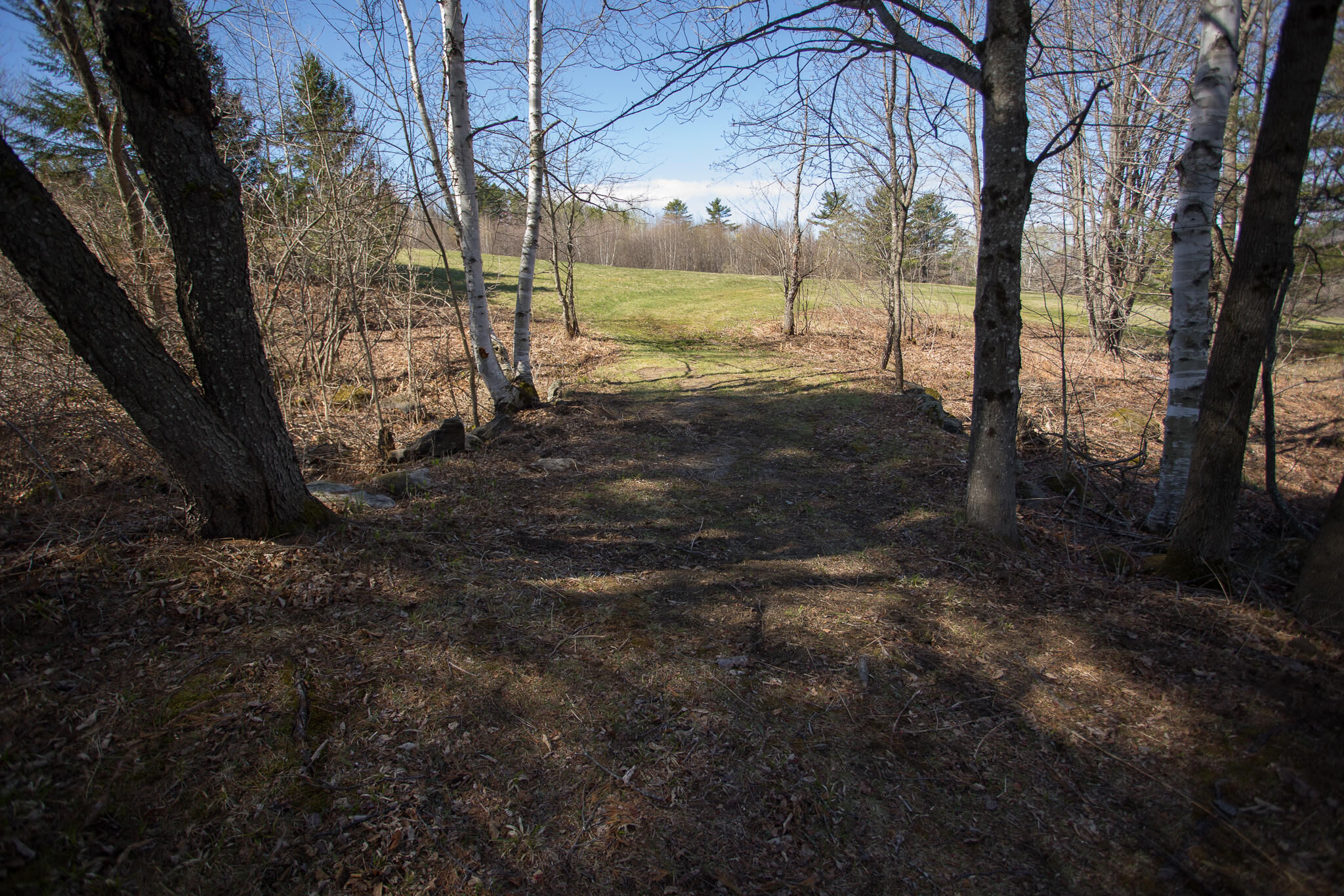 88 Hall Hill Road Rumford, ME 04276 - Photo 12 of 60
