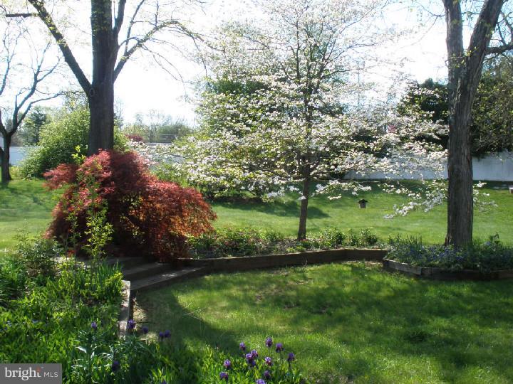 1 Rita Road Lawrenceville, NJ 08648 - Photo 14 of 16 Garden