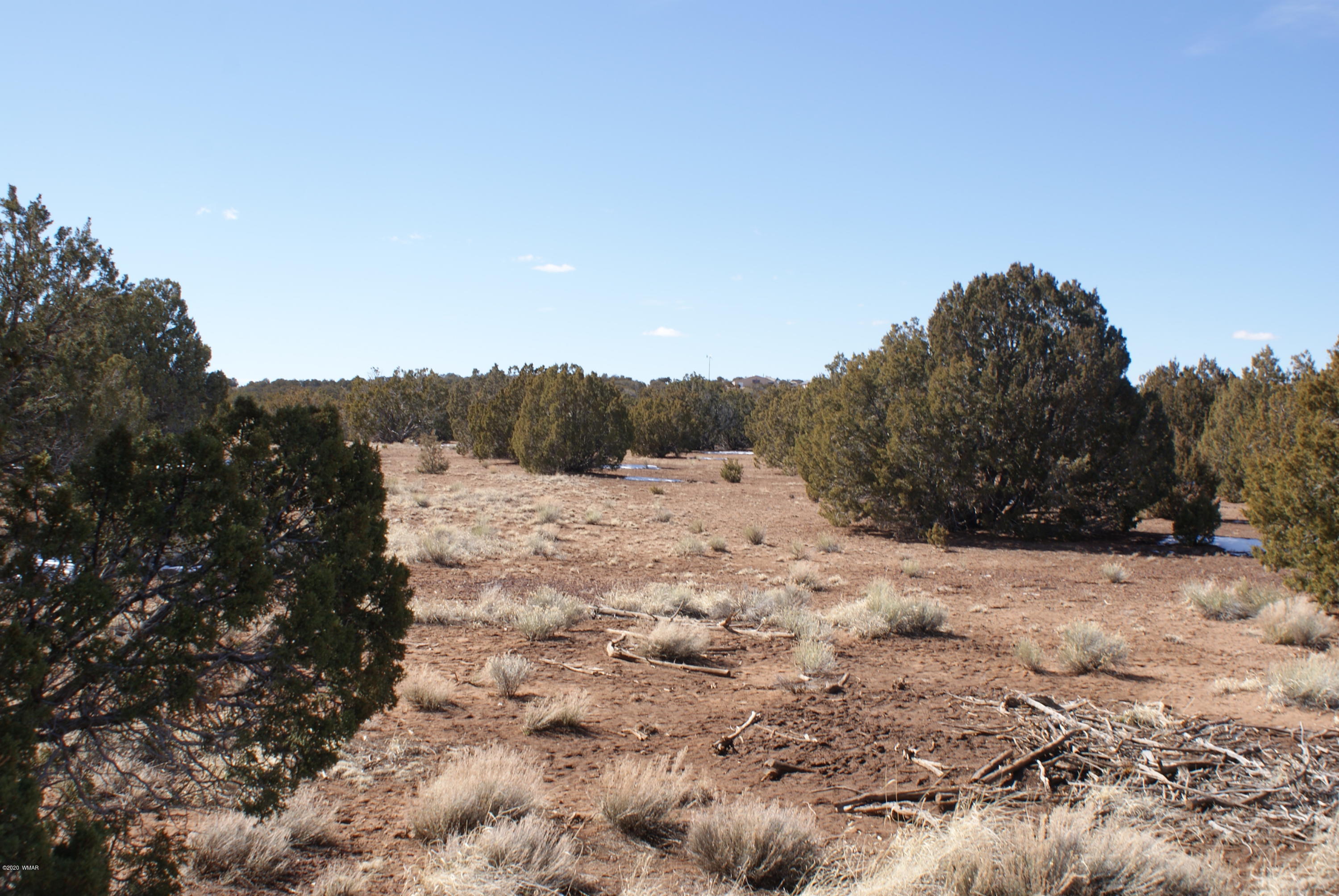 2 Concho Az 85924 Concho, AZ 85924 - Photo 3 of 8
