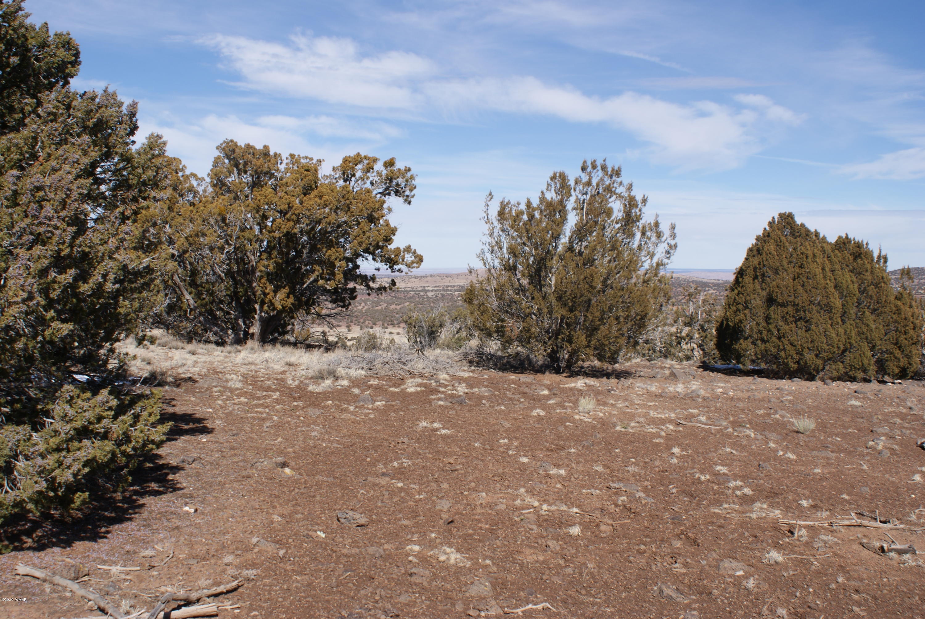 2 Concho Az 85924 Concho, AZ 85924 - Photo 4 of 8