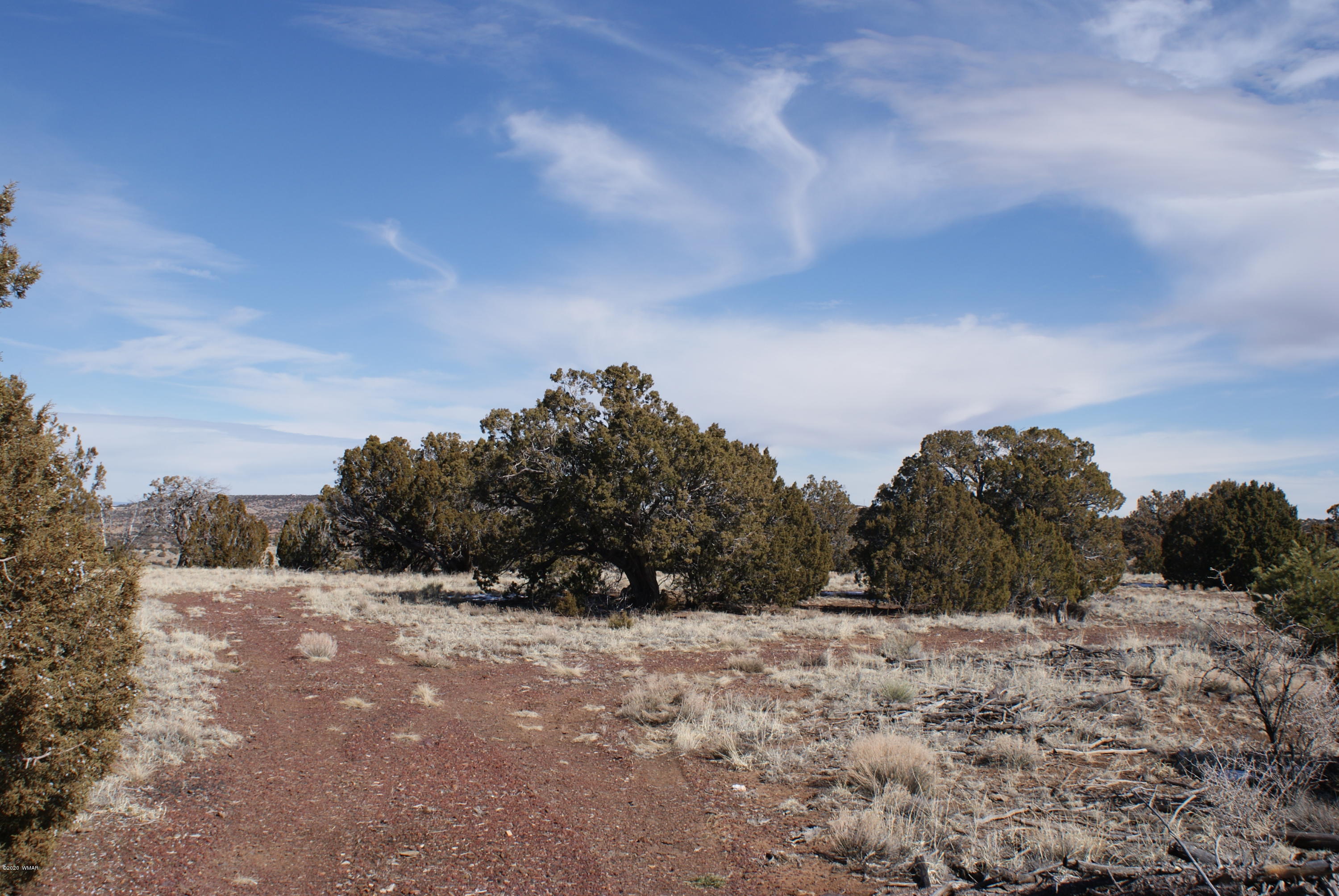 2 Concho Az 85924 Concho, AZ 85924 - Photo 6 of 8