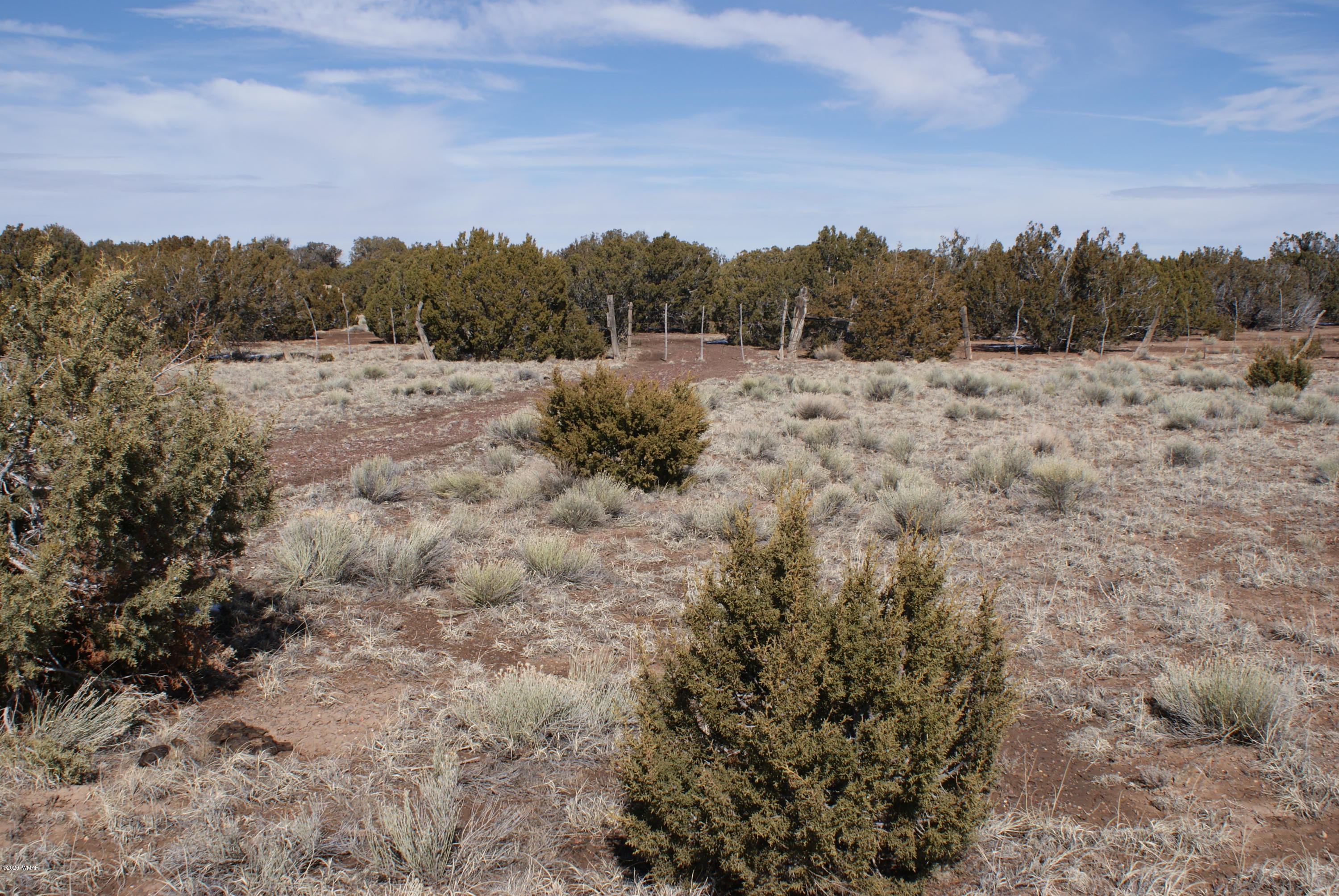2 Concho Az 85924 Concho, AZ 85924 - Photo 8 of 8