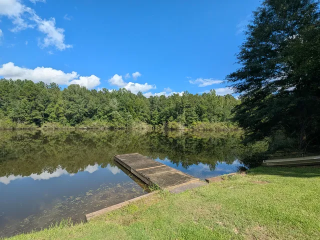 $450,000 | 10 New Market Road, Trenton, SC 29847