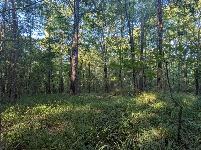 $450,000 | 10 New Market Road, Trenton, SC 29847