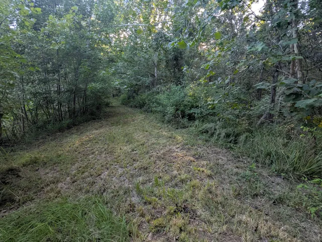 $450,000 | 10 New Market Road, Trenton, SC 29847