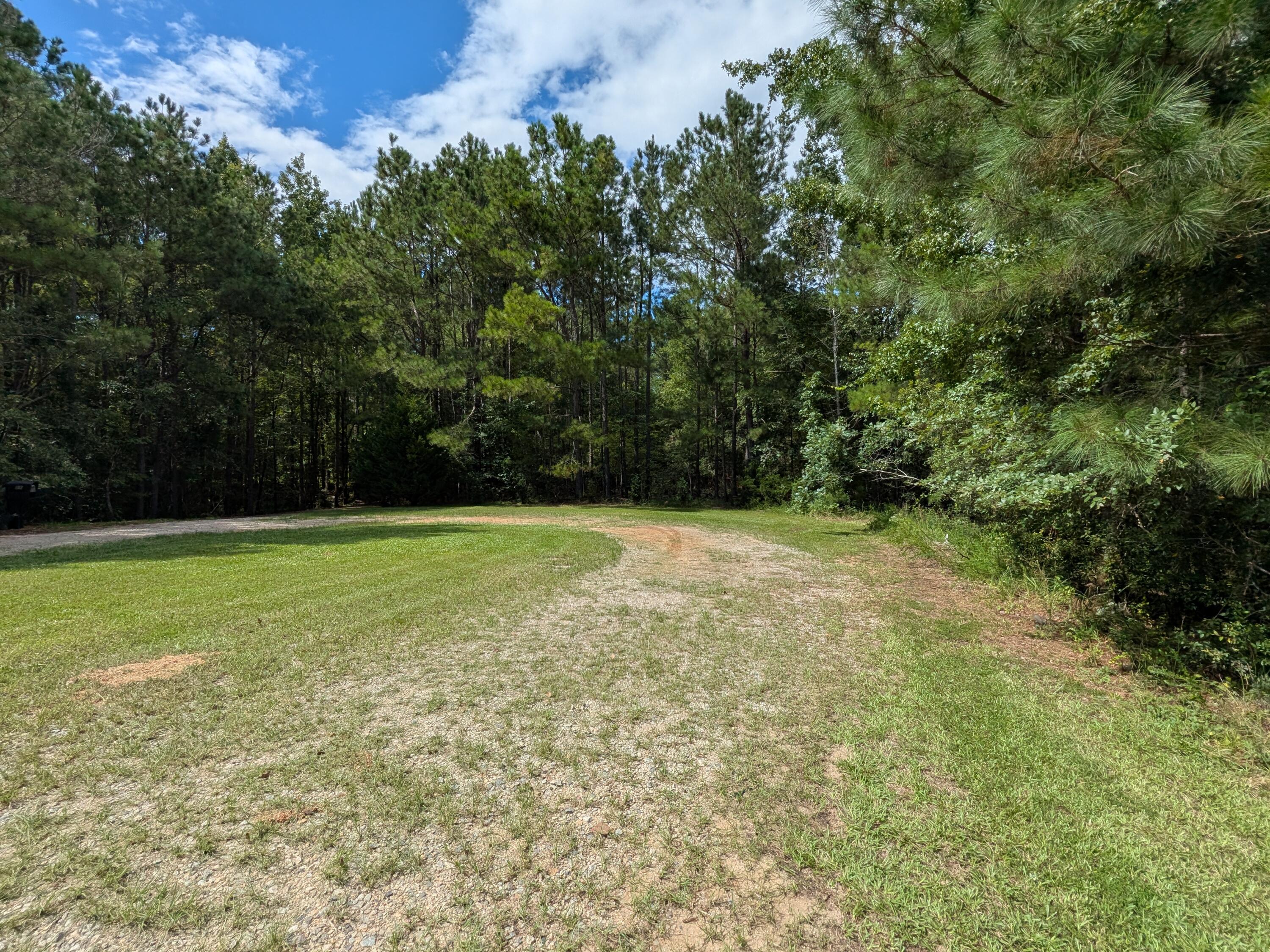 10 New Market Road Trenton, SC 29847 - Photo 31 of 39 Extra lot road frontage