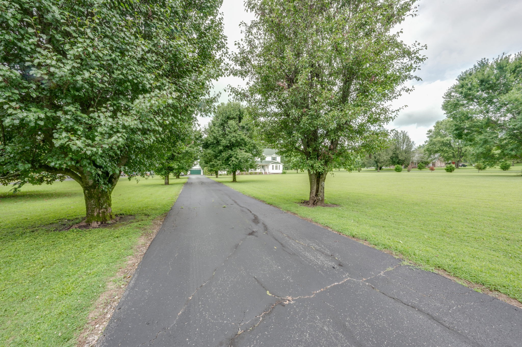 1163 Canaan Road Columbia, TN 38401 - Photo 4 of 41 Gallery Image 4