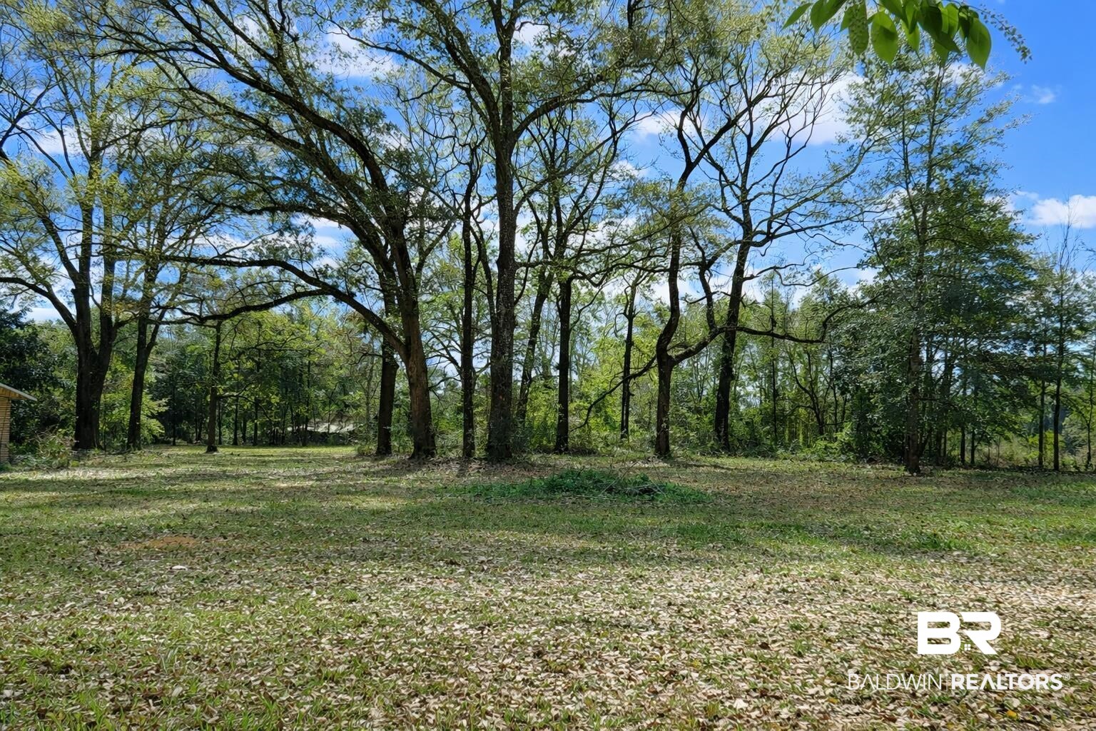 5407 Brunson Lane Eight Mile, AL 36613 - Photo 5 of 19