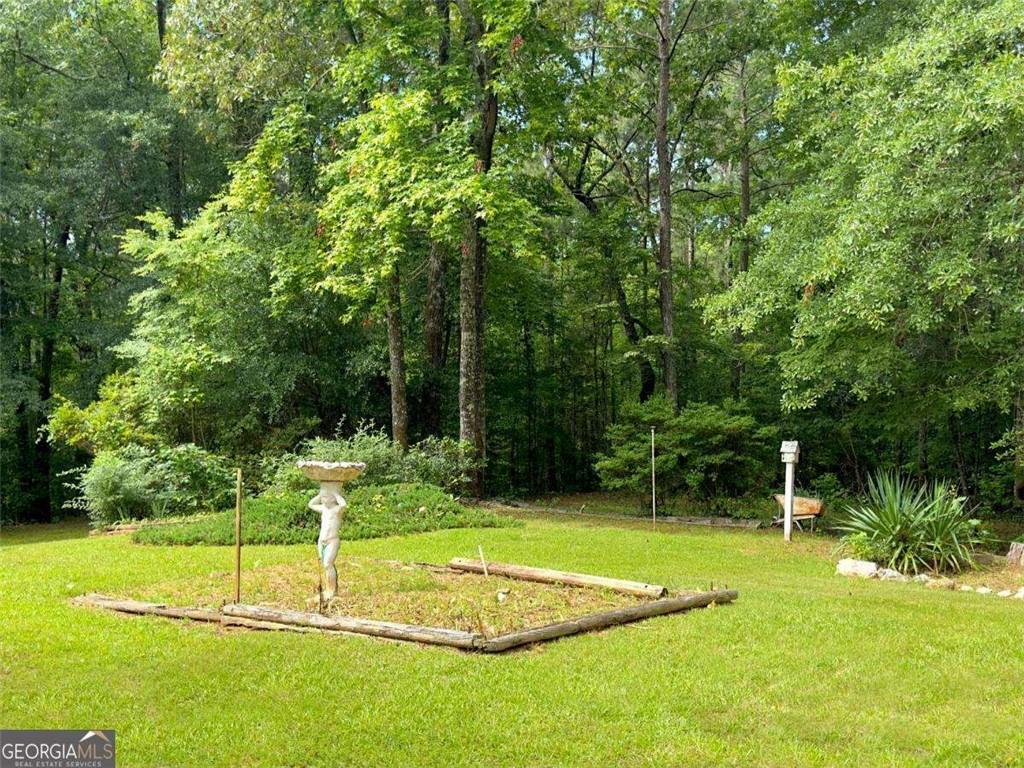 240 Riverview Road Jackson, GA 30233 - Photo 64 of 79