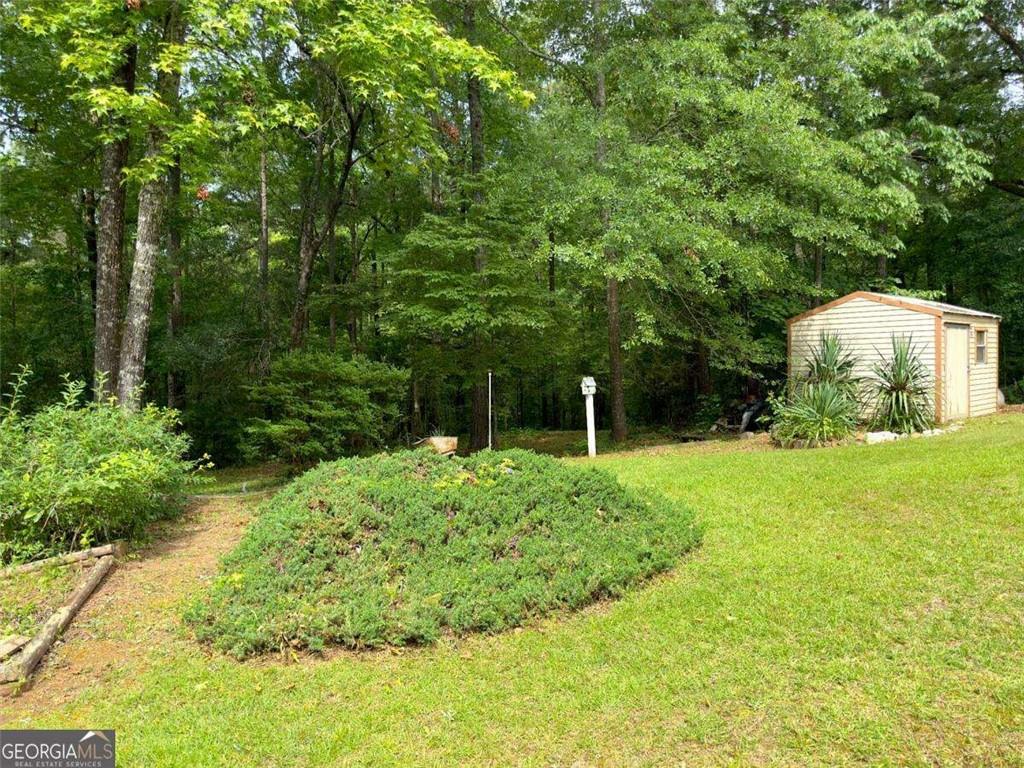 240 Riverview Road Jackson, GA 30233 - Photo 65 of 79 a backyard of a house with lots of green space