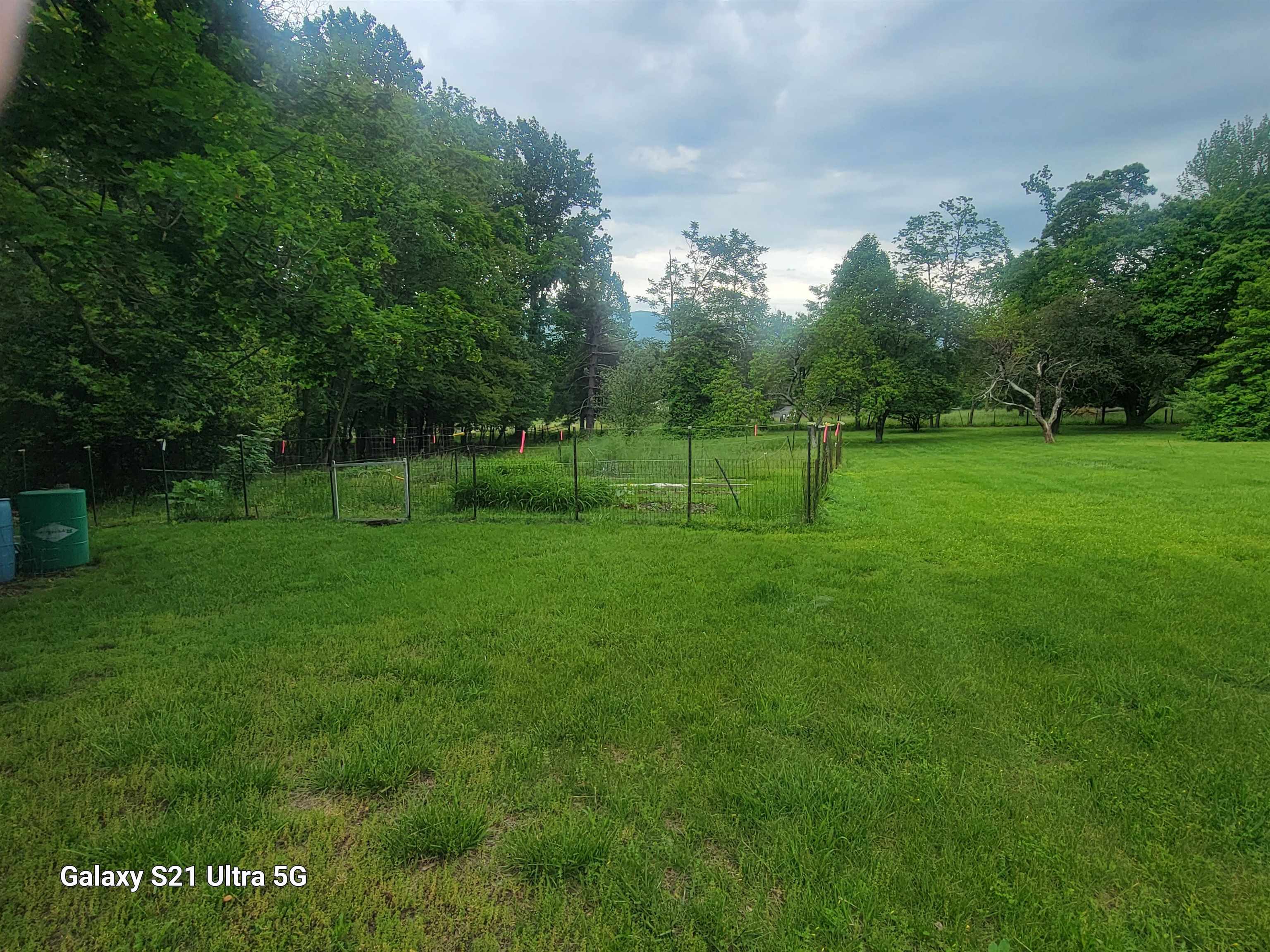 1189 Shipwreck Road Shenandoah, VA 22849 - Photo 16 of 22 a view of a park with large trees