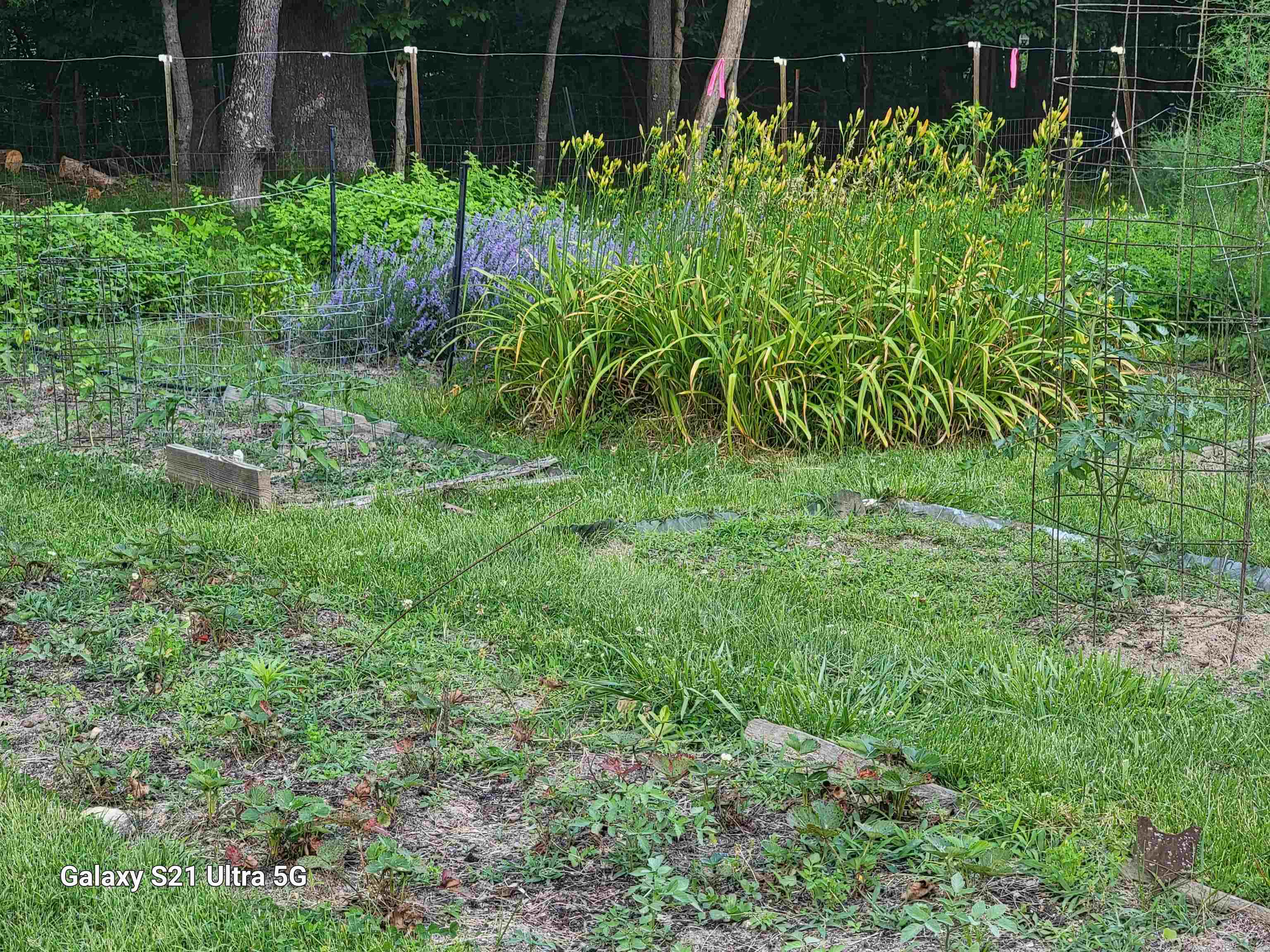 1189 Shipwreck Road Shenandoah, VA 22849 - Photo 17 of 22 a view of garden with plants and a bench