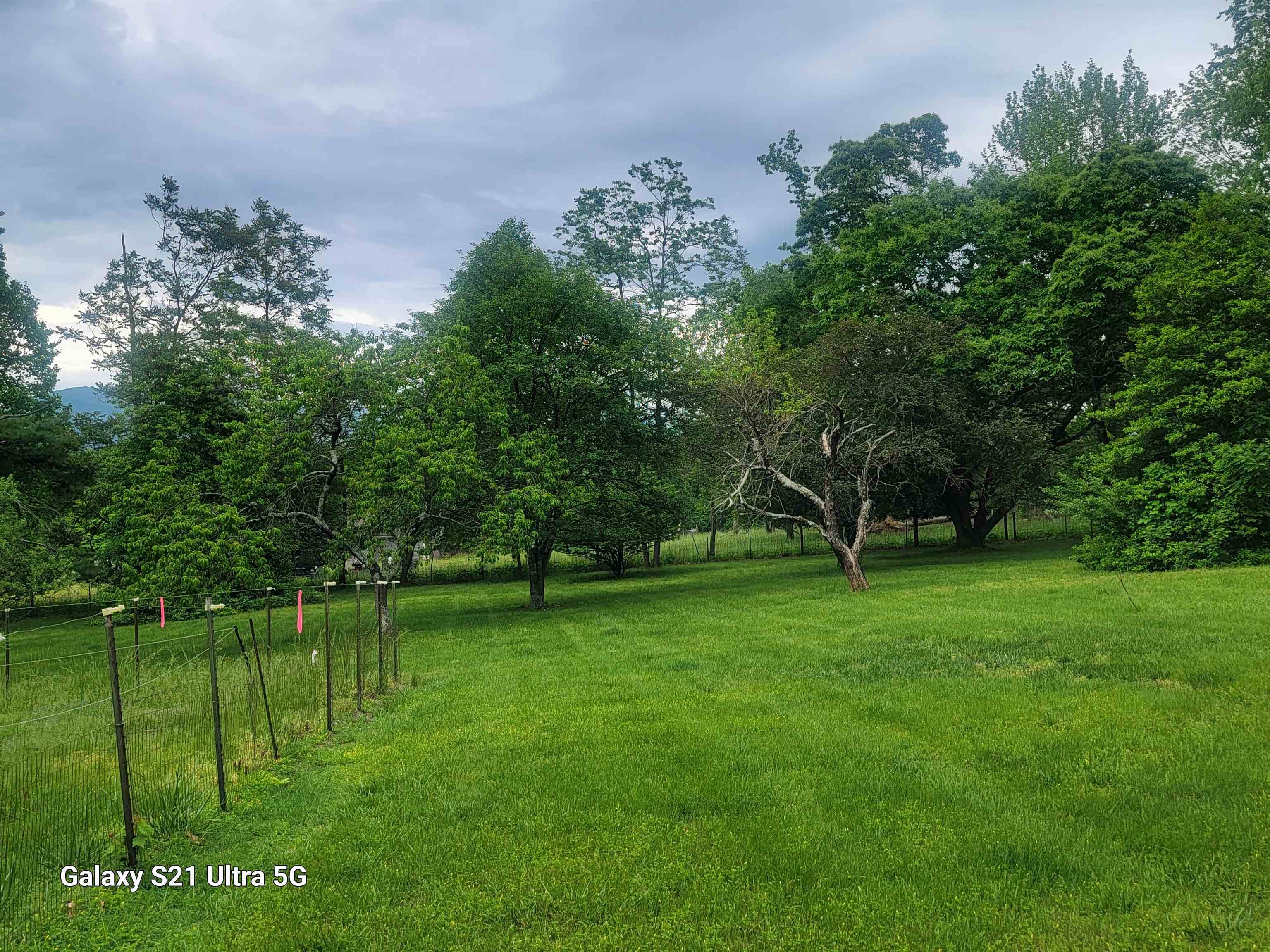 1189 Shipwreck Road Shenandoah, VA 22849 - Photo 18 of 22 a backyard of a house with lots of green space