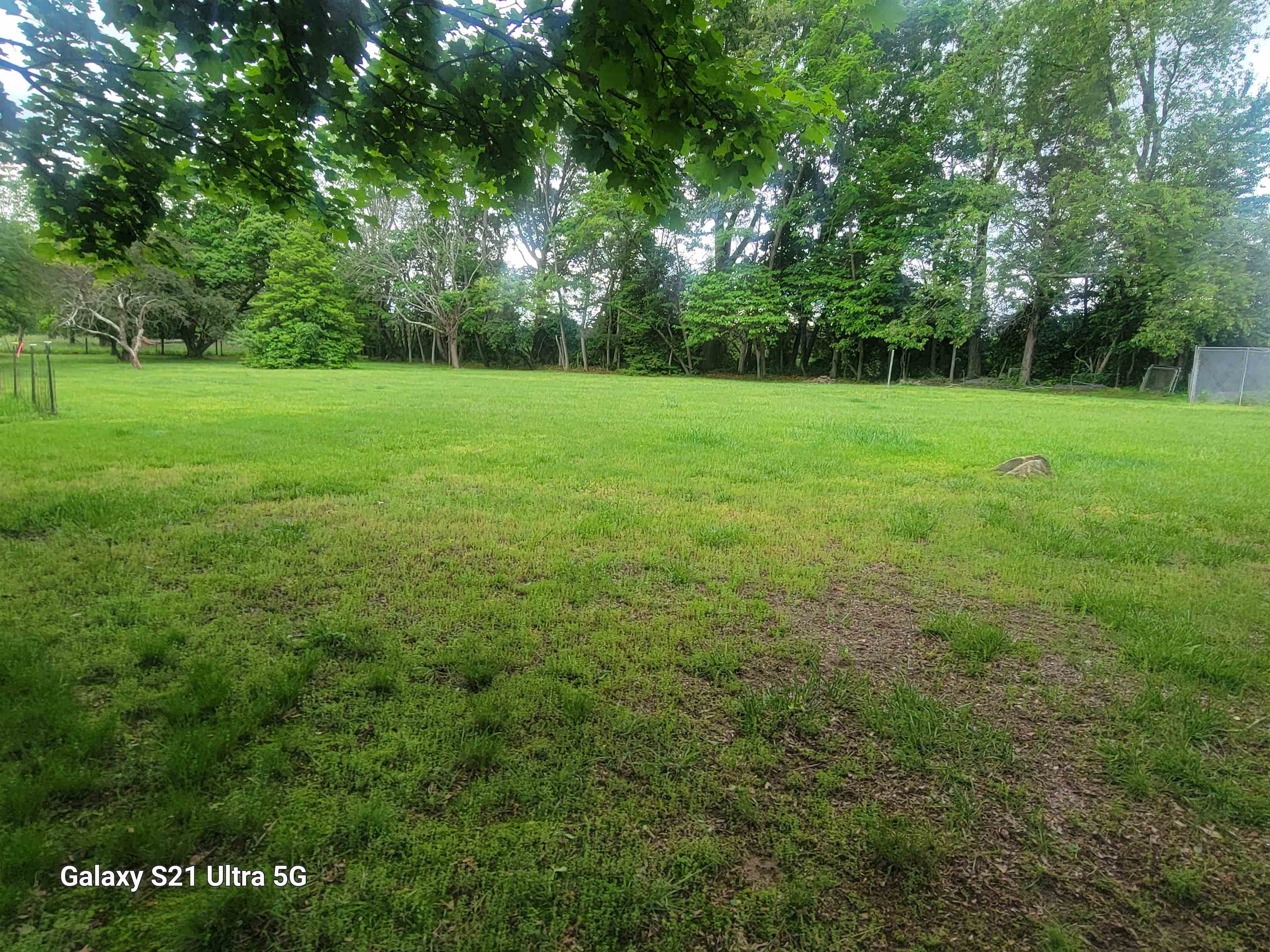 1189 Shipwreck Road Shenandoah, VA 22849 - Photo 19 of 22 a view of a field with a tree