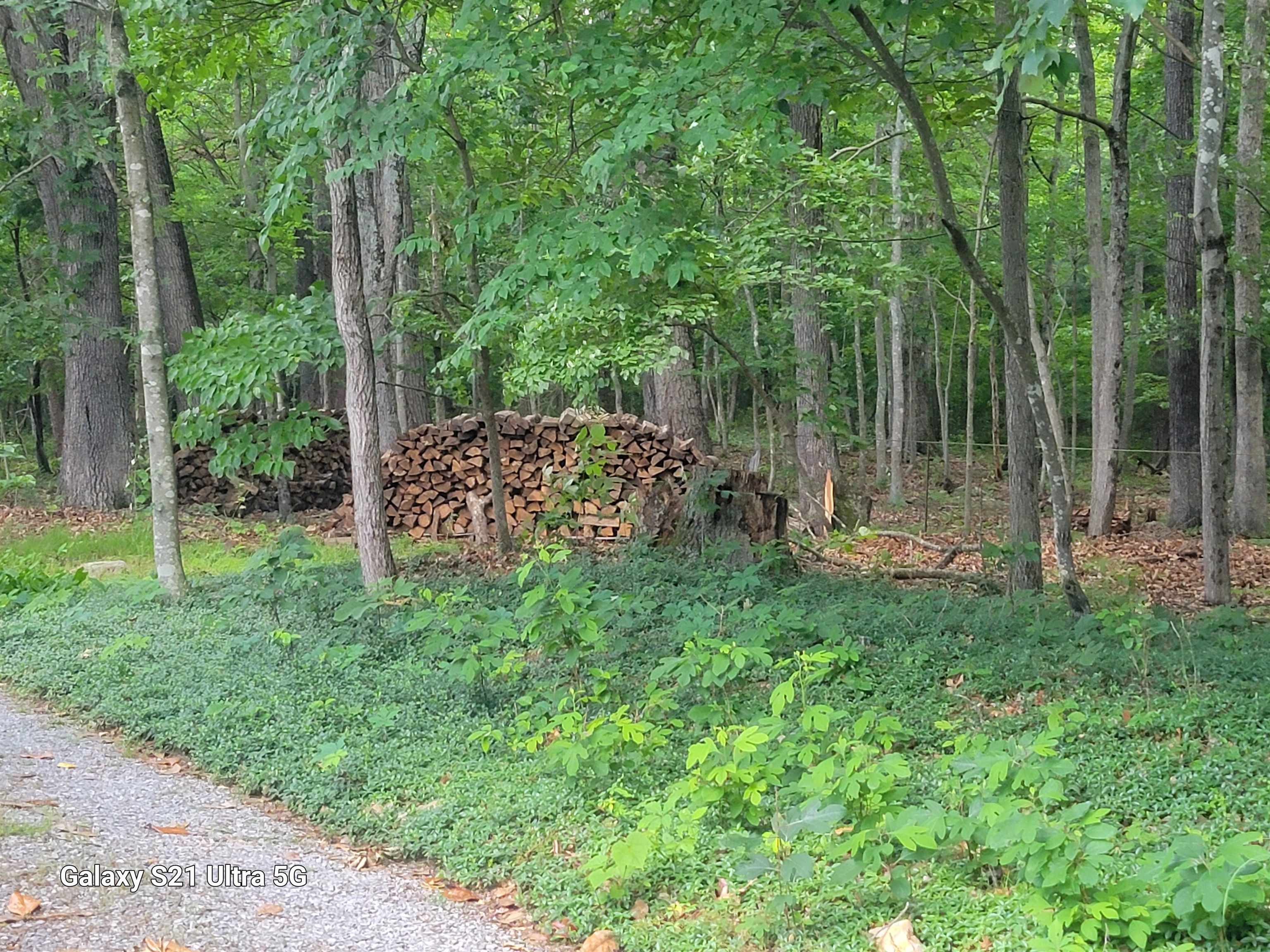 1189 Shipwreck Road Shenandoah, VA 22849 - Photo 20 of 22 a backyard of a house with lots of green space