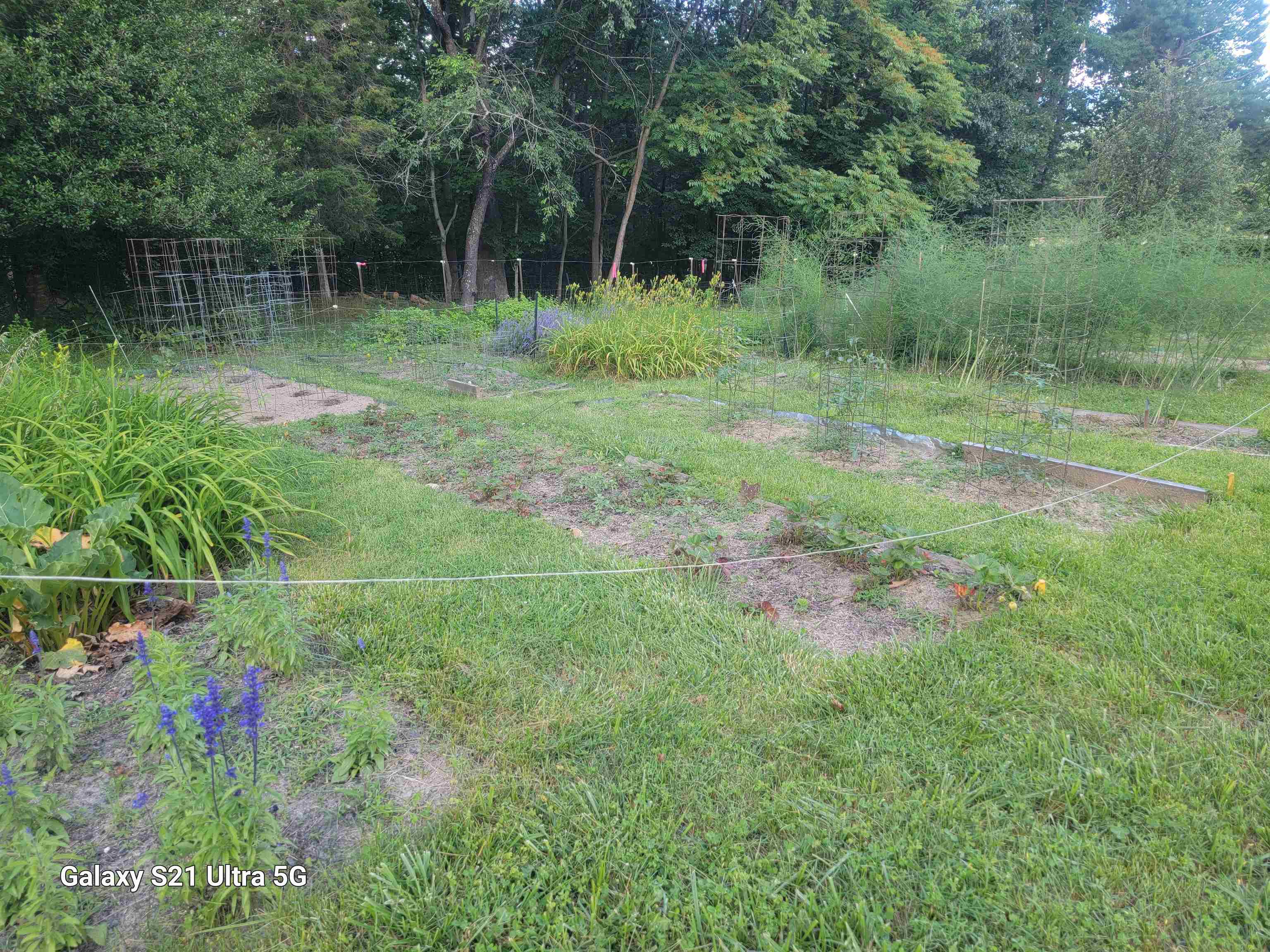 1189 Shipwreck Road Shenandoah, VA 22849 - Photo 21 of 22 a view of outdoor space and yard
