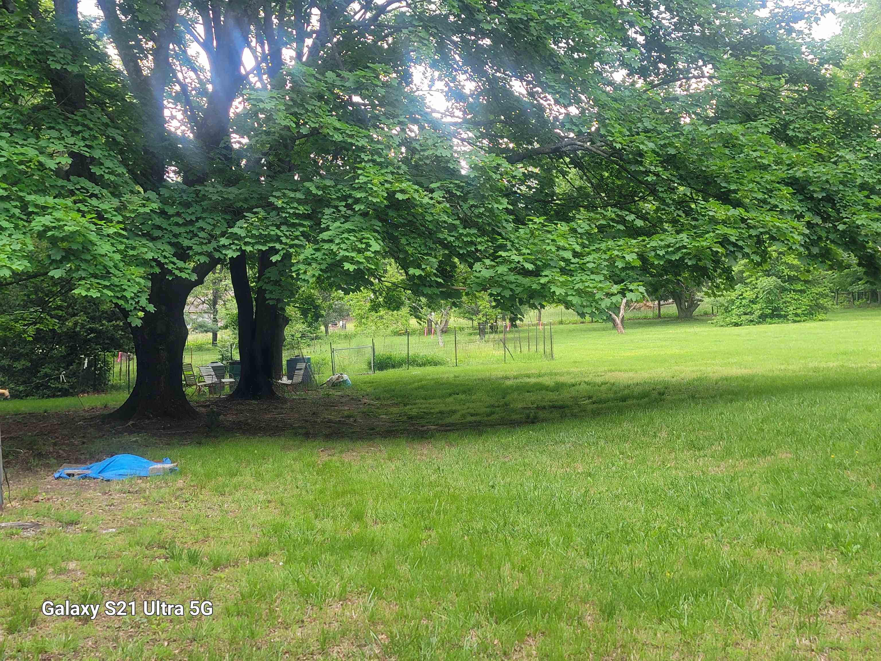 1189 Shipwreck Road Shenandoah, VA 22849 - Photo 4 of 22 a view of a park with a tree in the background