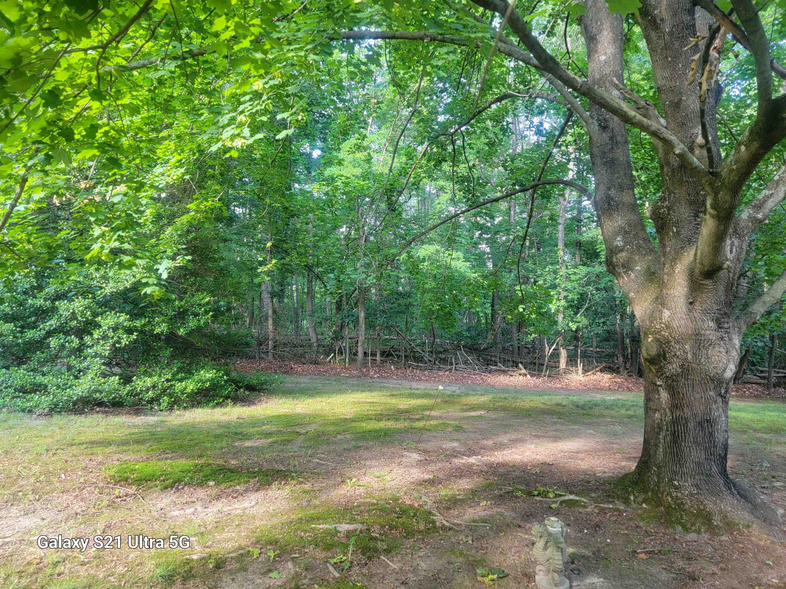 1189 Shipwreck Road Shenandoah, VA 22849 - Photo 6 of 22 a view of outdoor space with trees all around