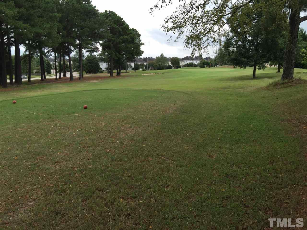 2136 Persimmon Ridge Drive Raleigh, NC 27604 - Photo 23 of 23 a view of a trees in a yard