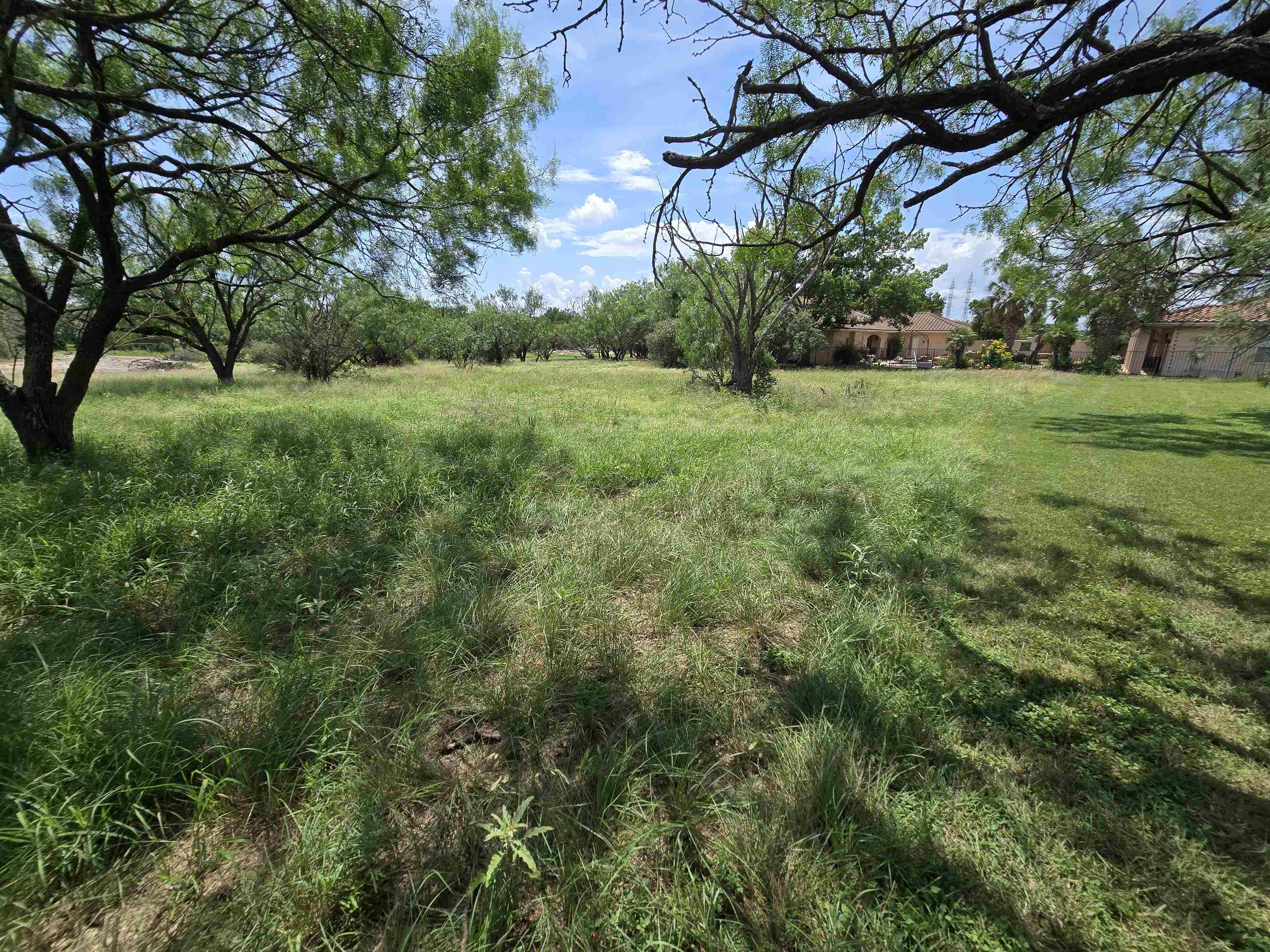 206 Colt Horseshoe Bay, TX 78657 - Photo 4 of 11 a view of a field with a tree