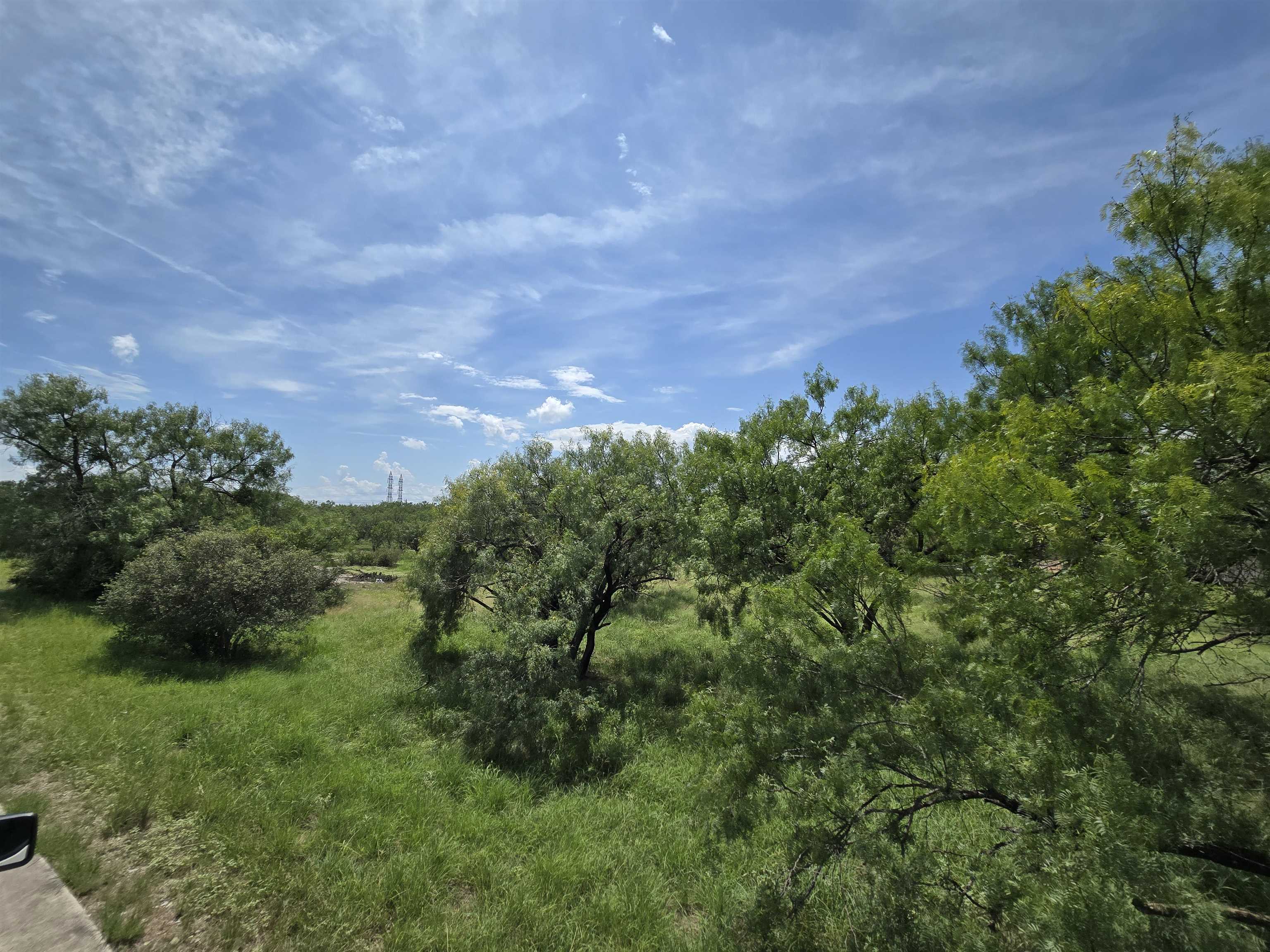 206 Colt Horseshoe Bay, TX 78657 - Photo 5 of 11 a view of a bunch of trees