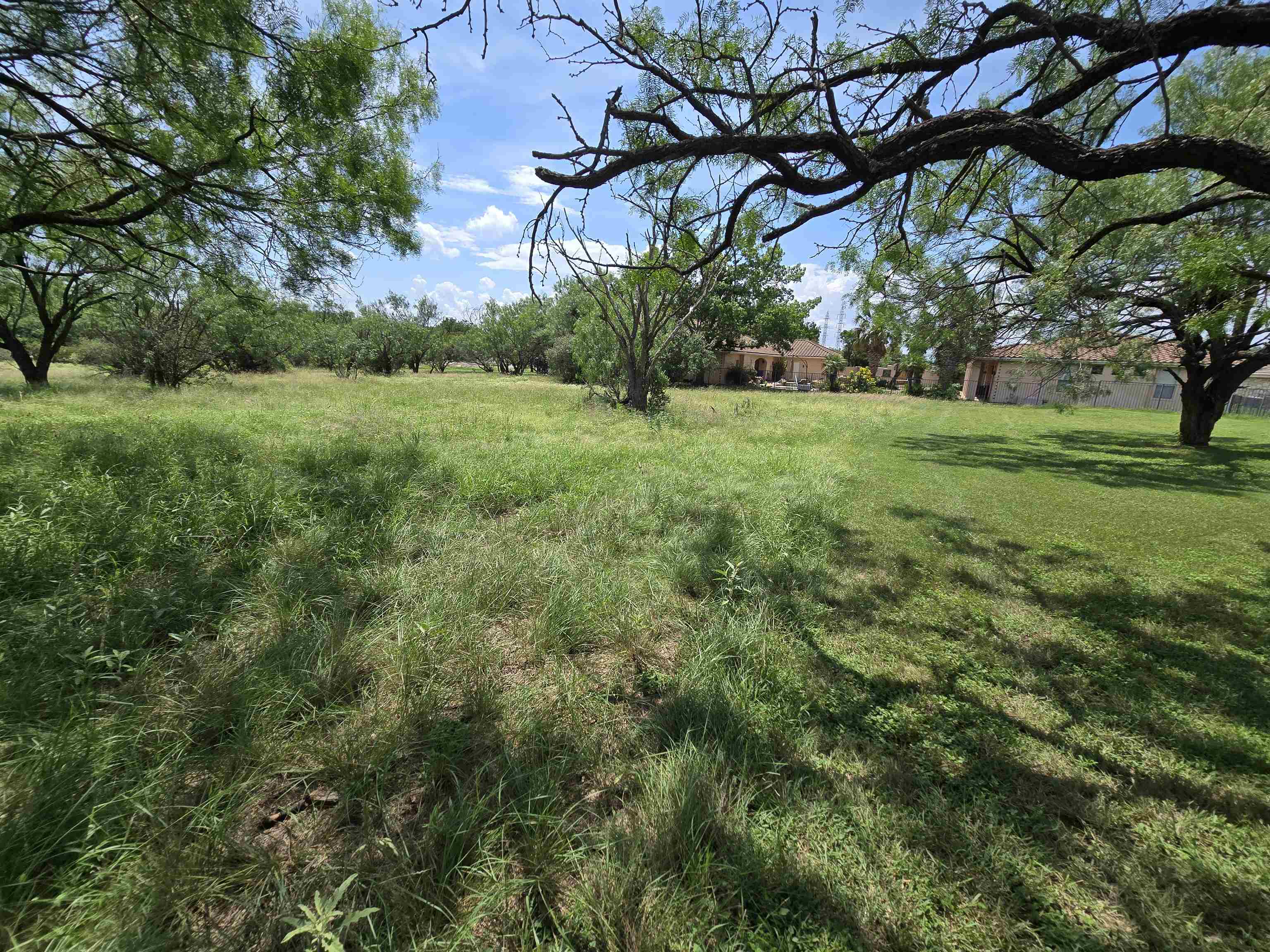 206 Colt Horseshoe Bay, TX 78657 - Photo 7 of 11 a view of yard with green space