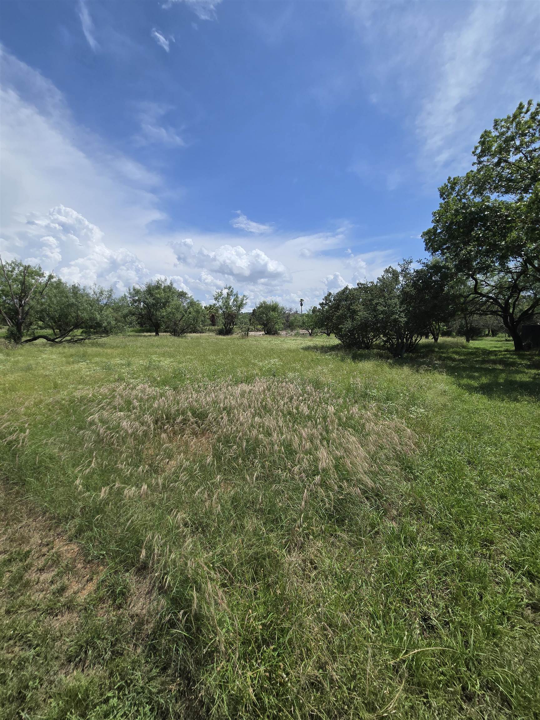 206 Colt Horseshoe Bay, TX 78657 - Photo 8 of 11 a view of a lush green outdoor space with a lake view
