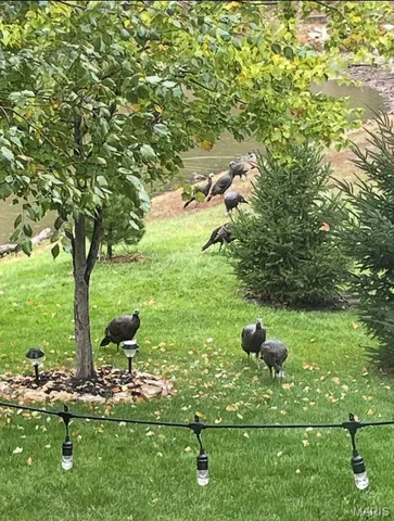 $549,900 | 27 Carlton Lake Court, Wentzville, MO 63385