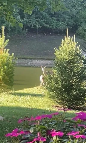 $549,900 | 27 Carlton Lake Court, Wentzville, MO 63385