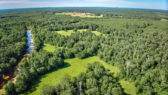 a view of a lush green forest with trees and some houses