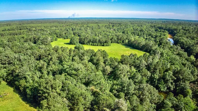 an aerial view of residential houses with outdoor space and trees