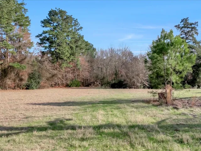an outdoor view with green space