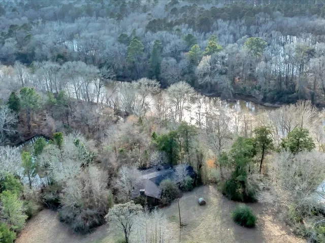 a view of a garden with plants and large trees