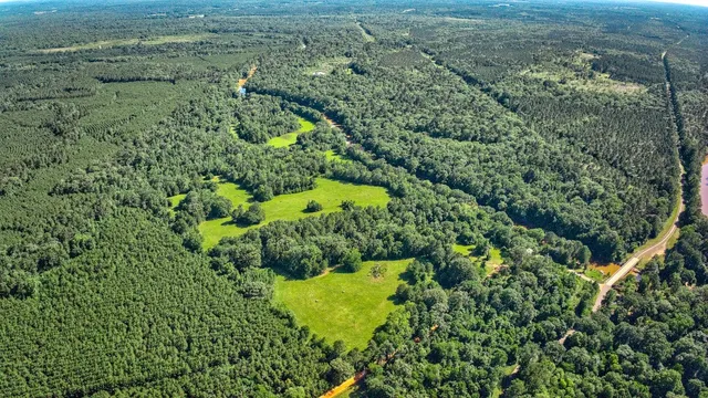 a view of a garden with a building