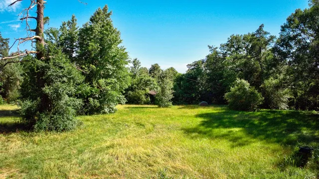 a view of a yard with a tree