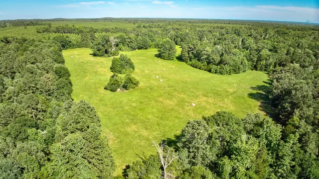 a view of a lake with a city