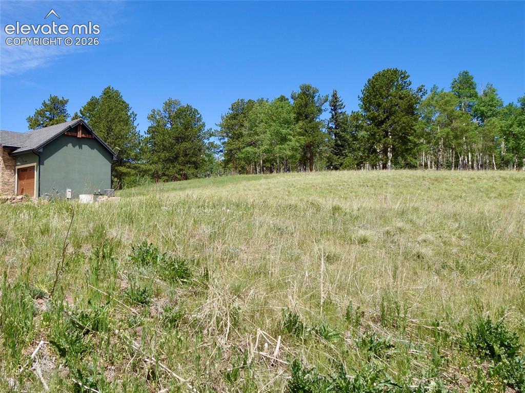 307 Pinaceae Heights Divide, CO 80814 - Photo 2 of 9