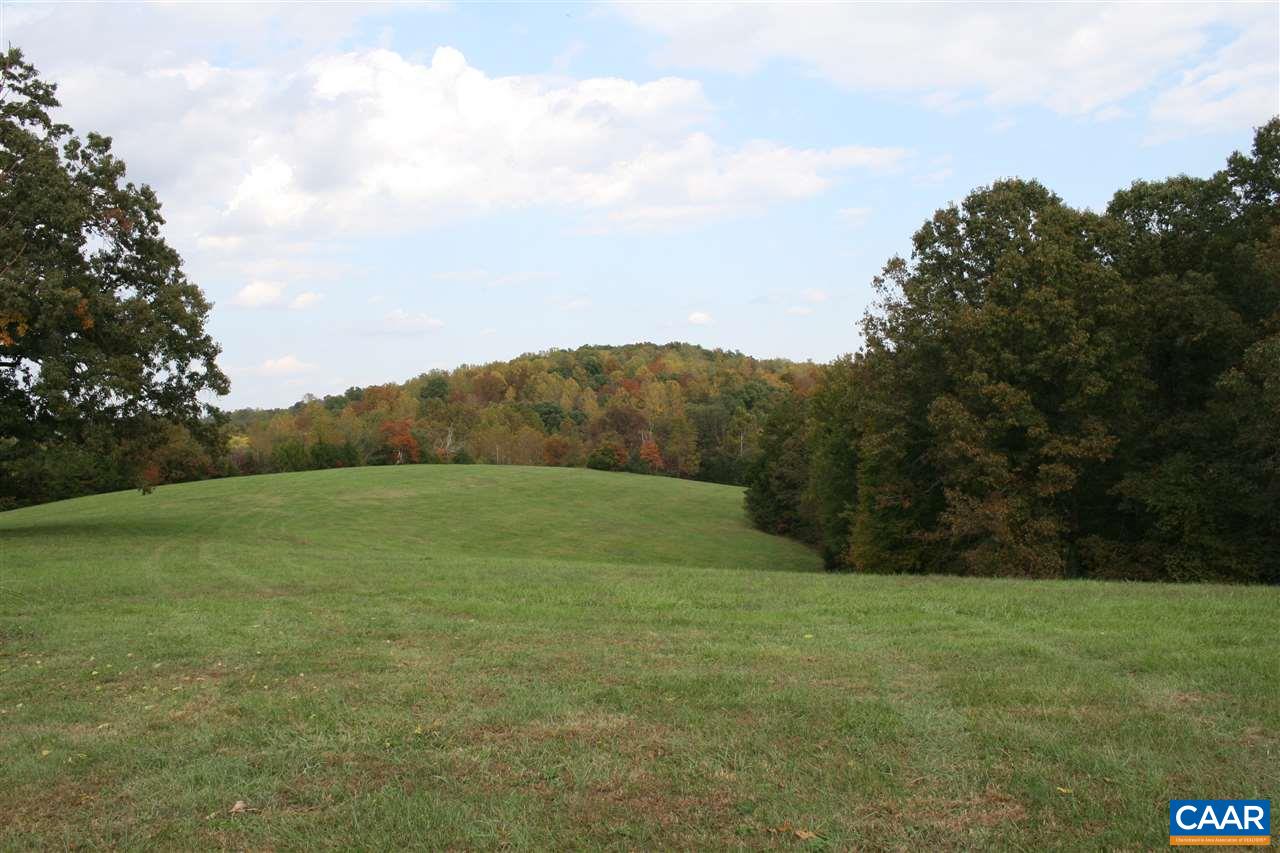 Tbd Jacks Shop Road Rochelle, VA 22738 - Photo 6 of 6 a view of grassy field with mountain