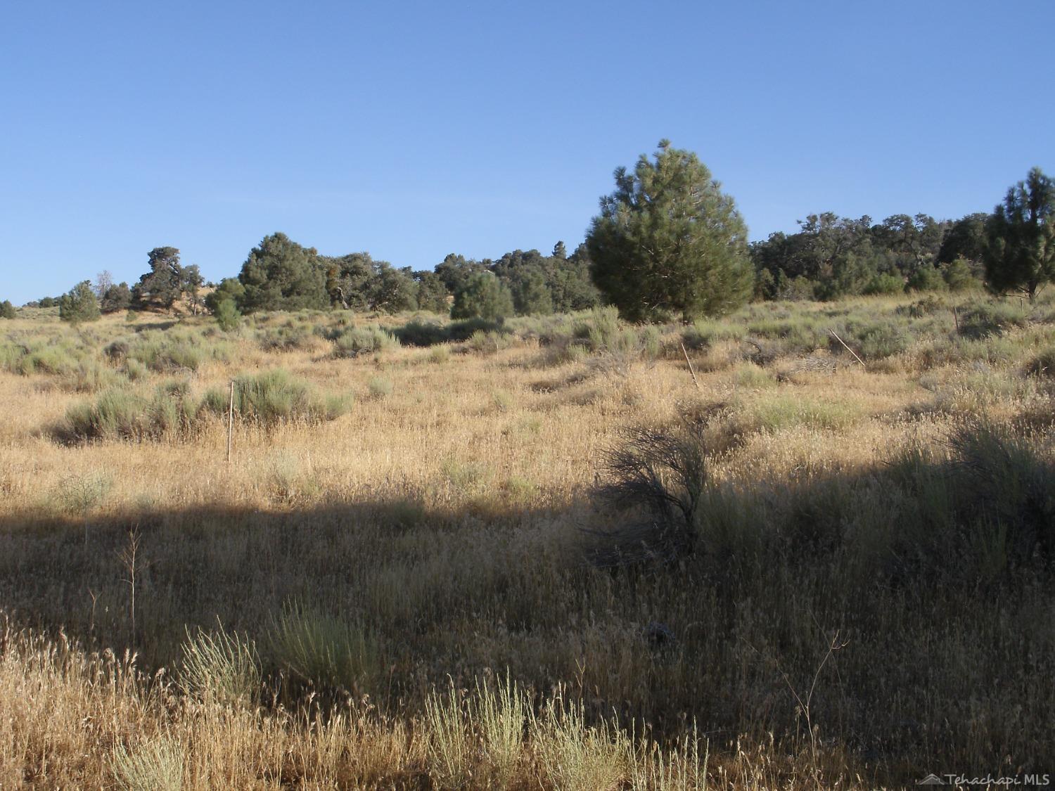 0 Tamblin Road Tehachapi, CA 93561 - Photo 3 of 7 Gallery Image 3
