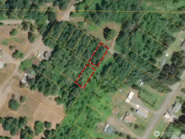 a view of yard with large trees