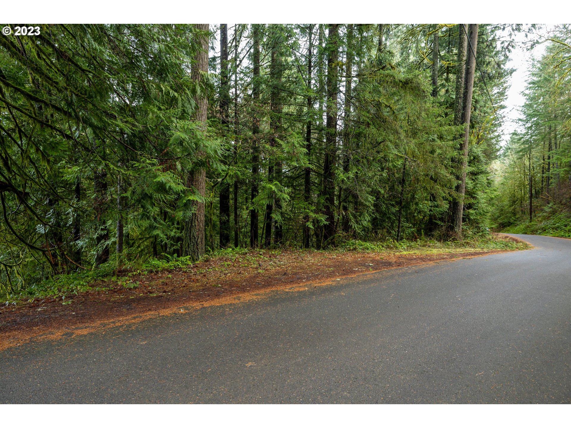 Northwest Elk Mountain Road Banks, OR 97106 - Photo 1 of 22 Property Entrance
