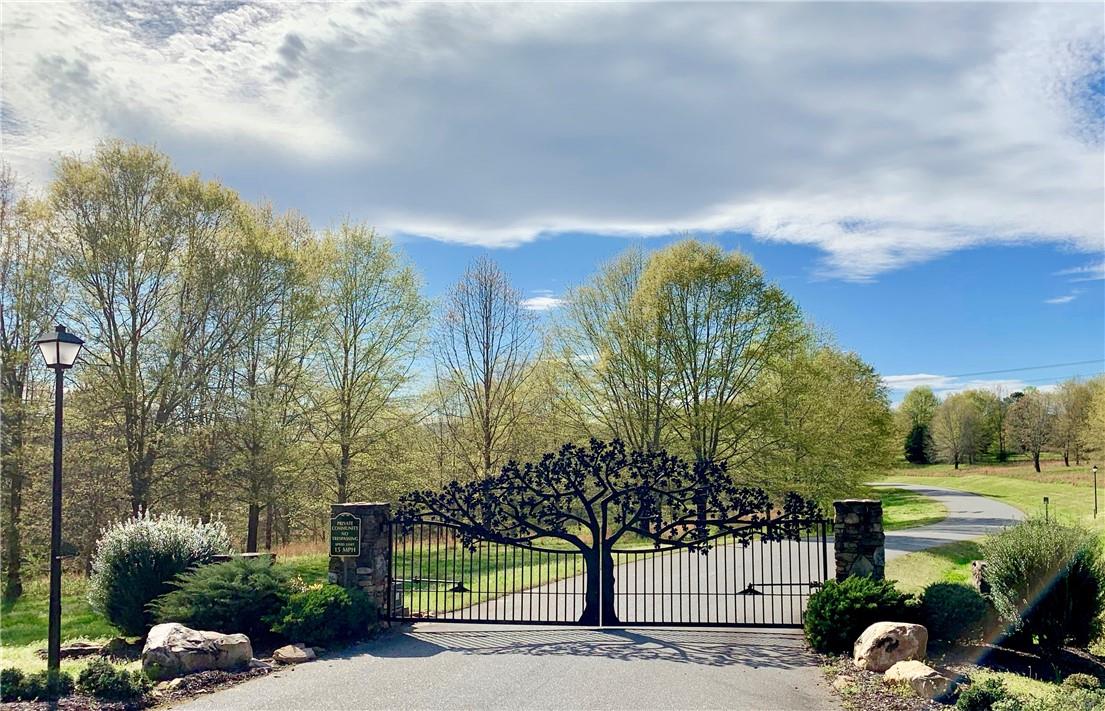 2.29-acres Lot 7 Freeman Town Road, Unit LOT 7 Rutherfordton, NC 28139 - Photo 3 of 18