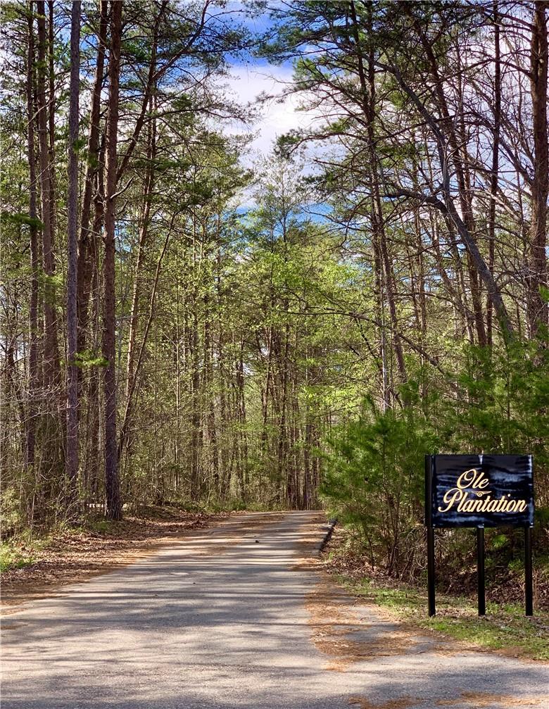 2.29-acres Lot 7 Freeman Town Road, Unit LOT 7 Rutherfordton, NC 28139 - Photo 5 of 18