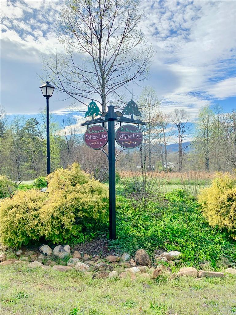 2.29-acres Lot 7 Freeman Town Road, Unit LOT 7 Rutherfordton, NC 28139 - Photo 6 of 18
