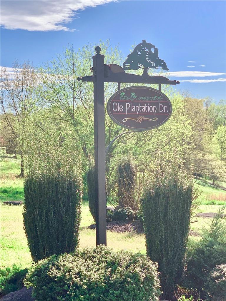 2.29-acres Lot 7 Freeman Town Road, Unit LOT 7 Rutherfordton, NC 28139 - Photo 7 of 18