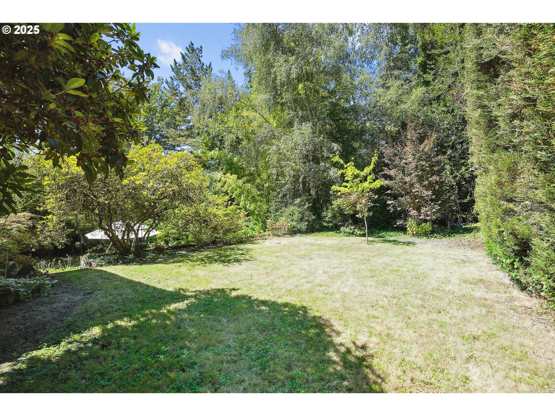 5820 Southwest Miles Court Portland, OR 97219 - Photo 44 of 48 a view of a yard with a tree
